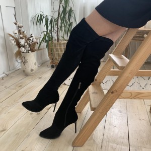 Жіночі ботфорти Аліса 